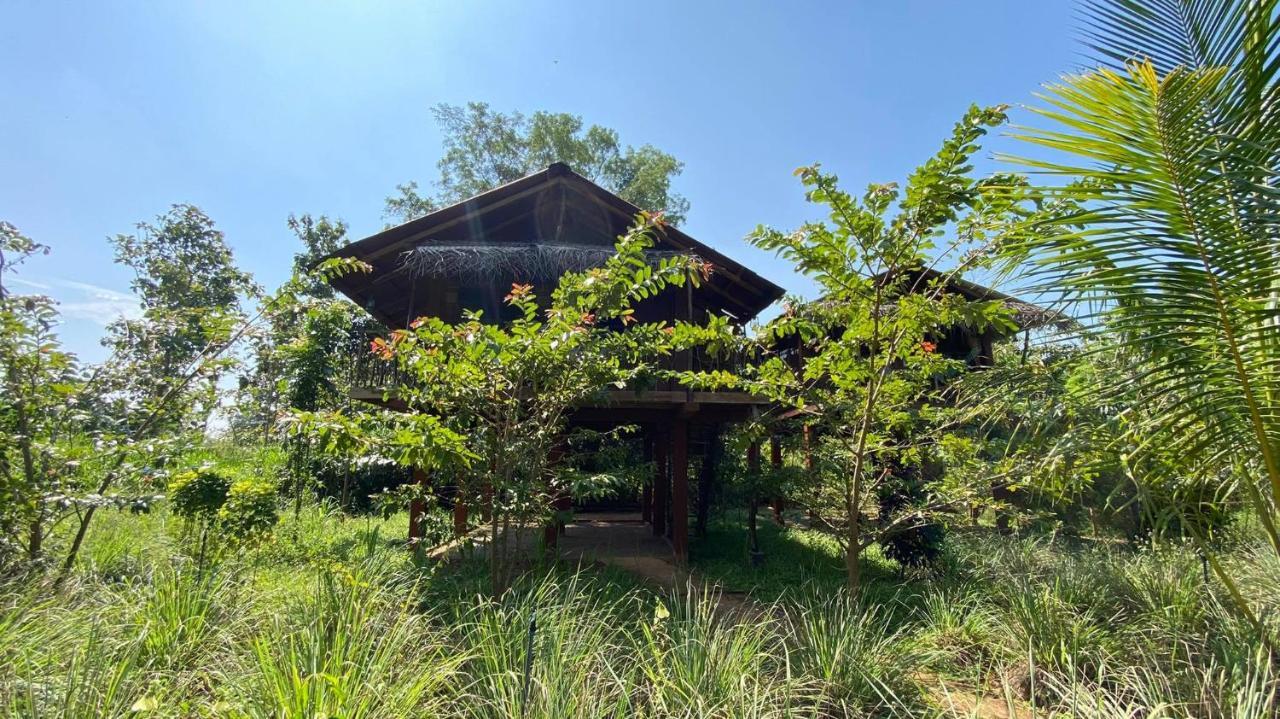 Chena Huts Eco Resort Sigiriya Esterno foto