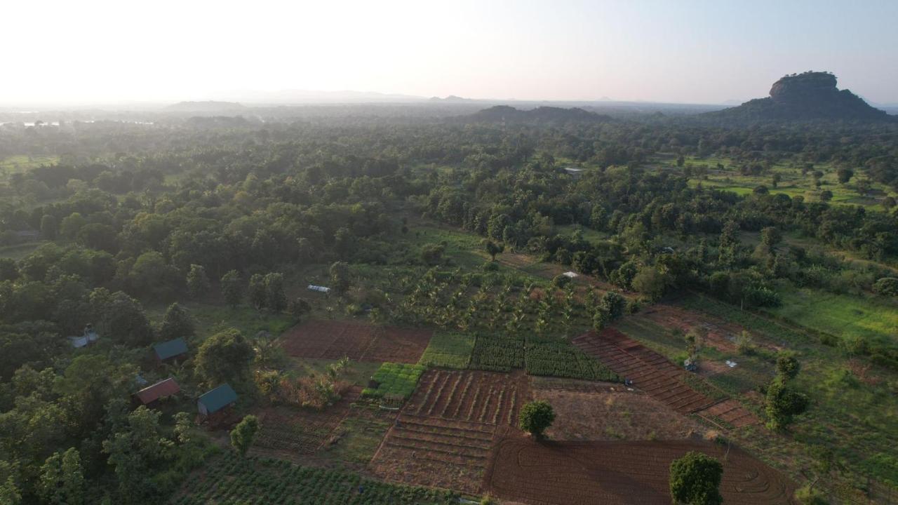 Chena Huts Eco Resort Sigiriya Esterno foto